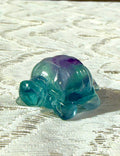 Tartarughina in fluorite