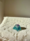 Tartarughina in fluorite