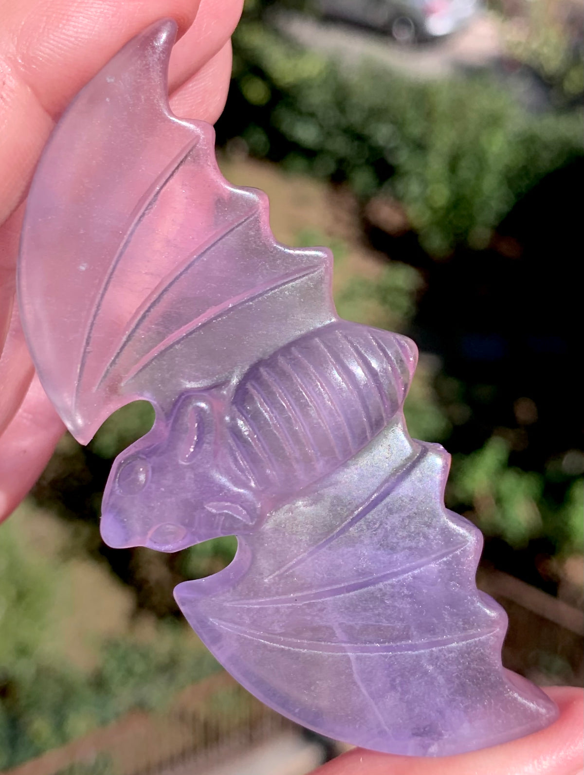 Lavender fluorite bat