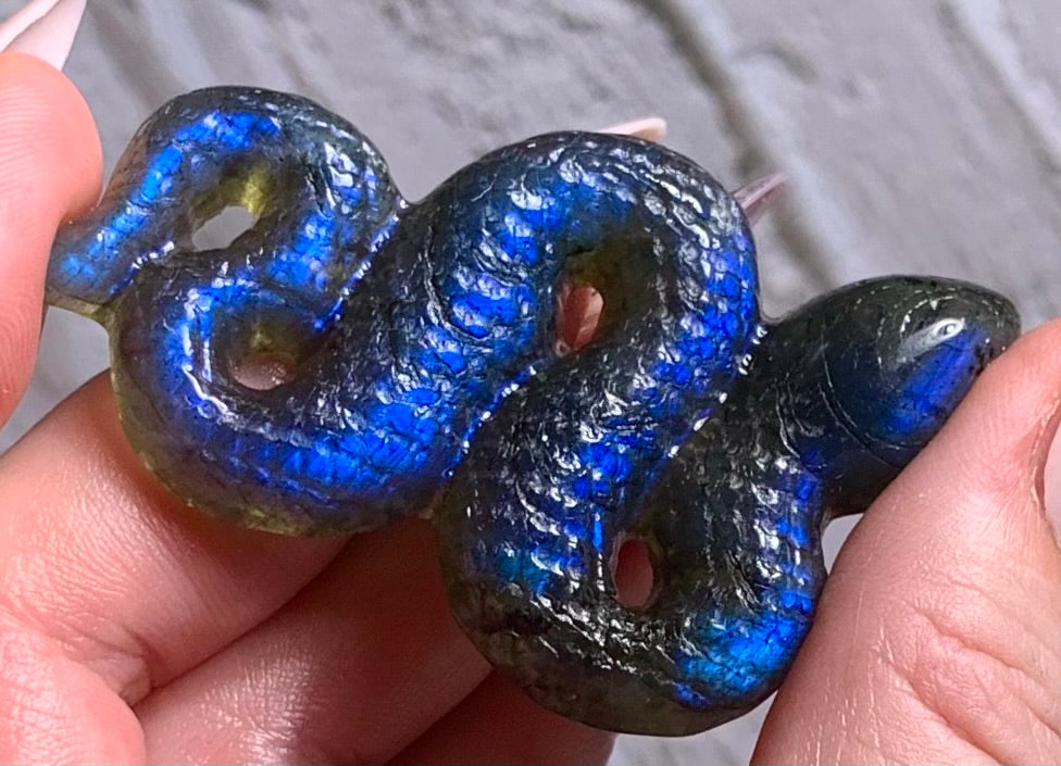 Snakes in labradorite