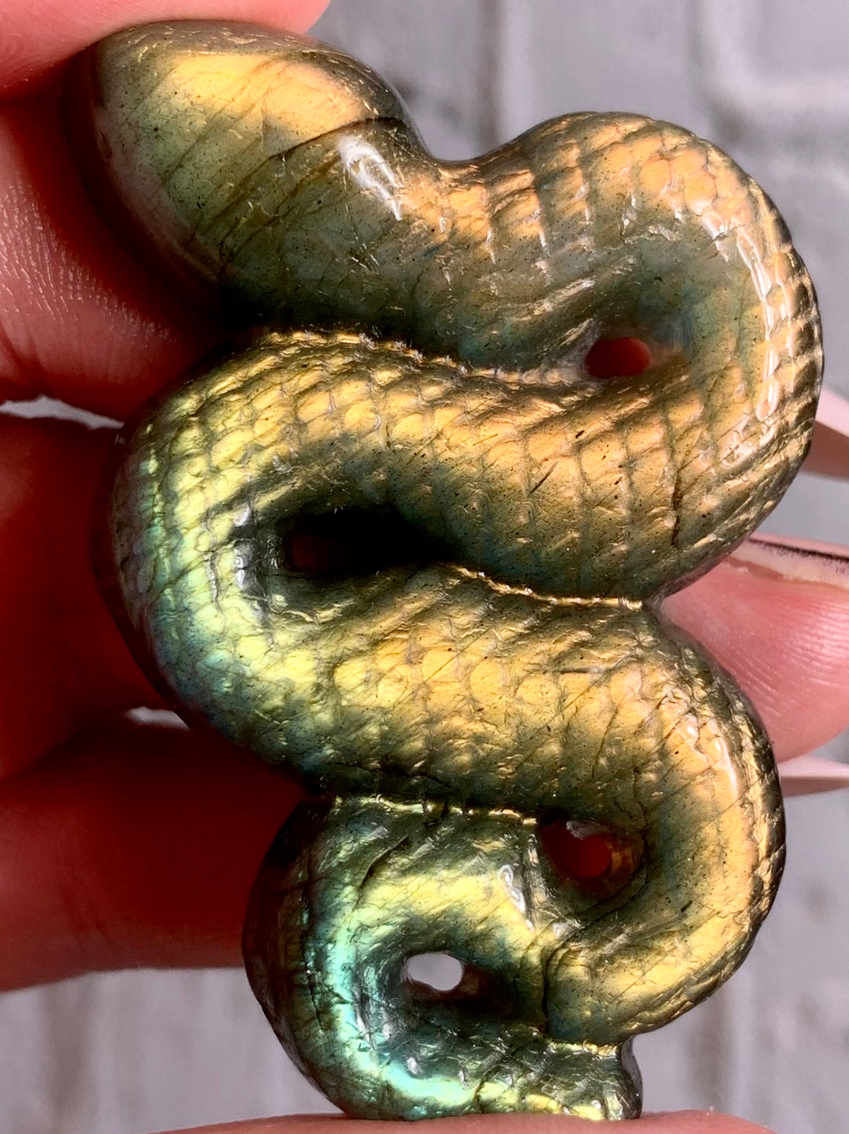 Snakes in labradorite