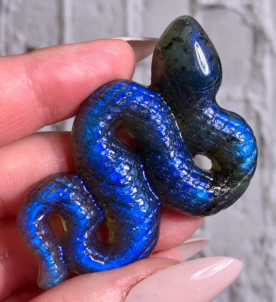 Snakes in labradorite