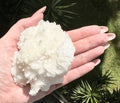 Cluster di aragonite bianca