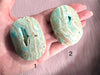 Palmstone in aragonite blu