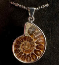 Collana con pendente in ammonite