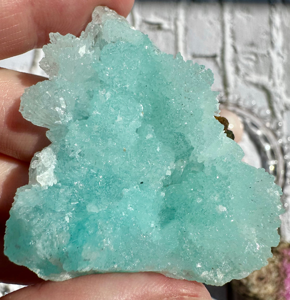 Cluster in aragonite blu