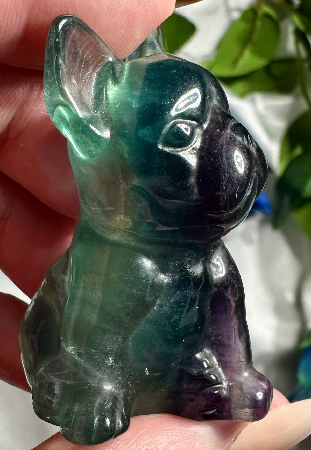 French Bulldog in blue fluorite