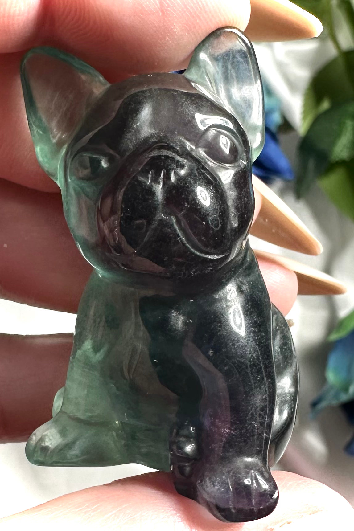 French Bulldog in blue fluorite