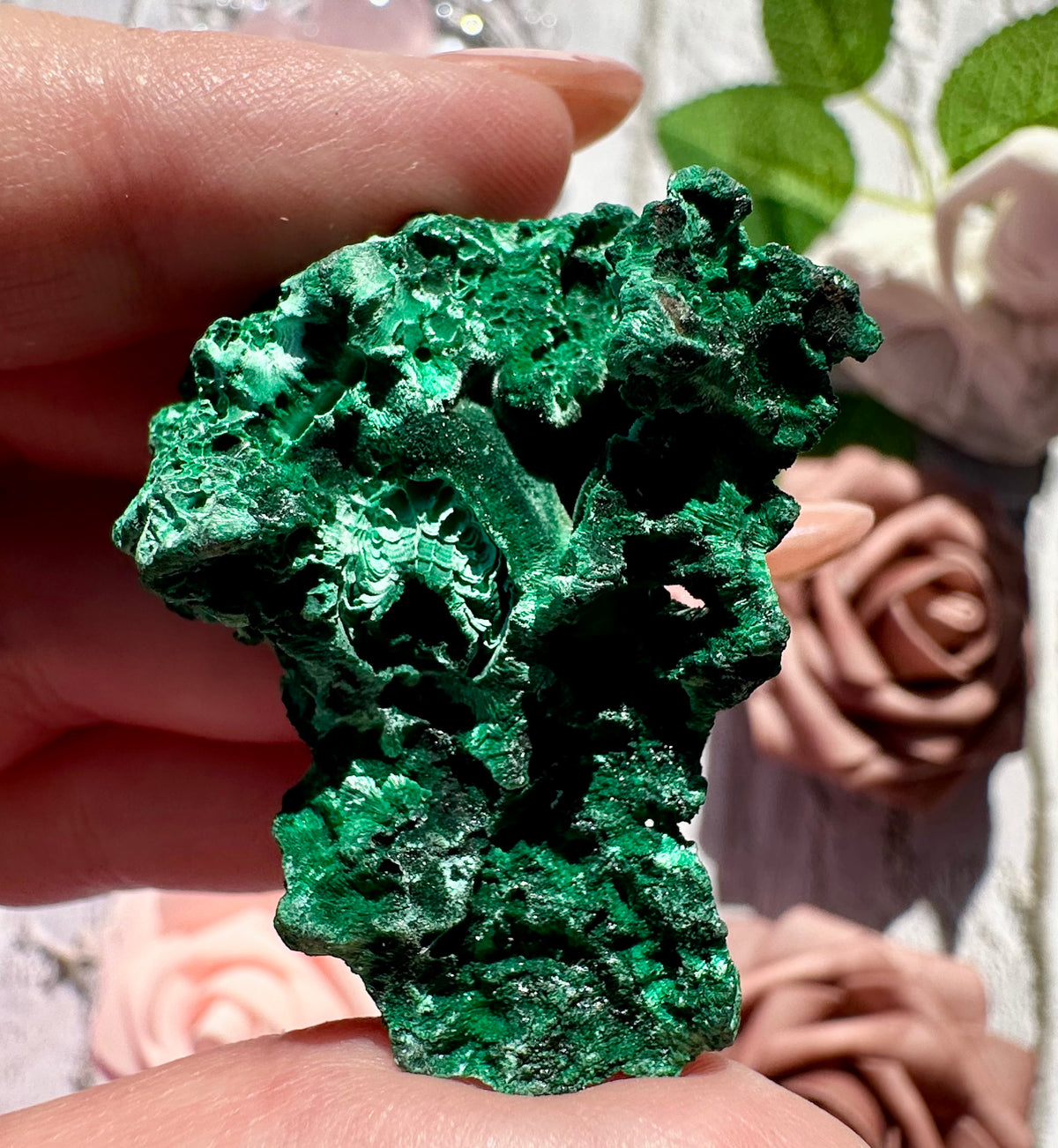 Malachite fibrosa