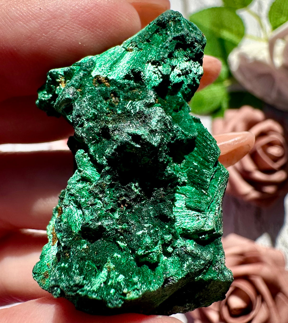 Malachite fibrosa