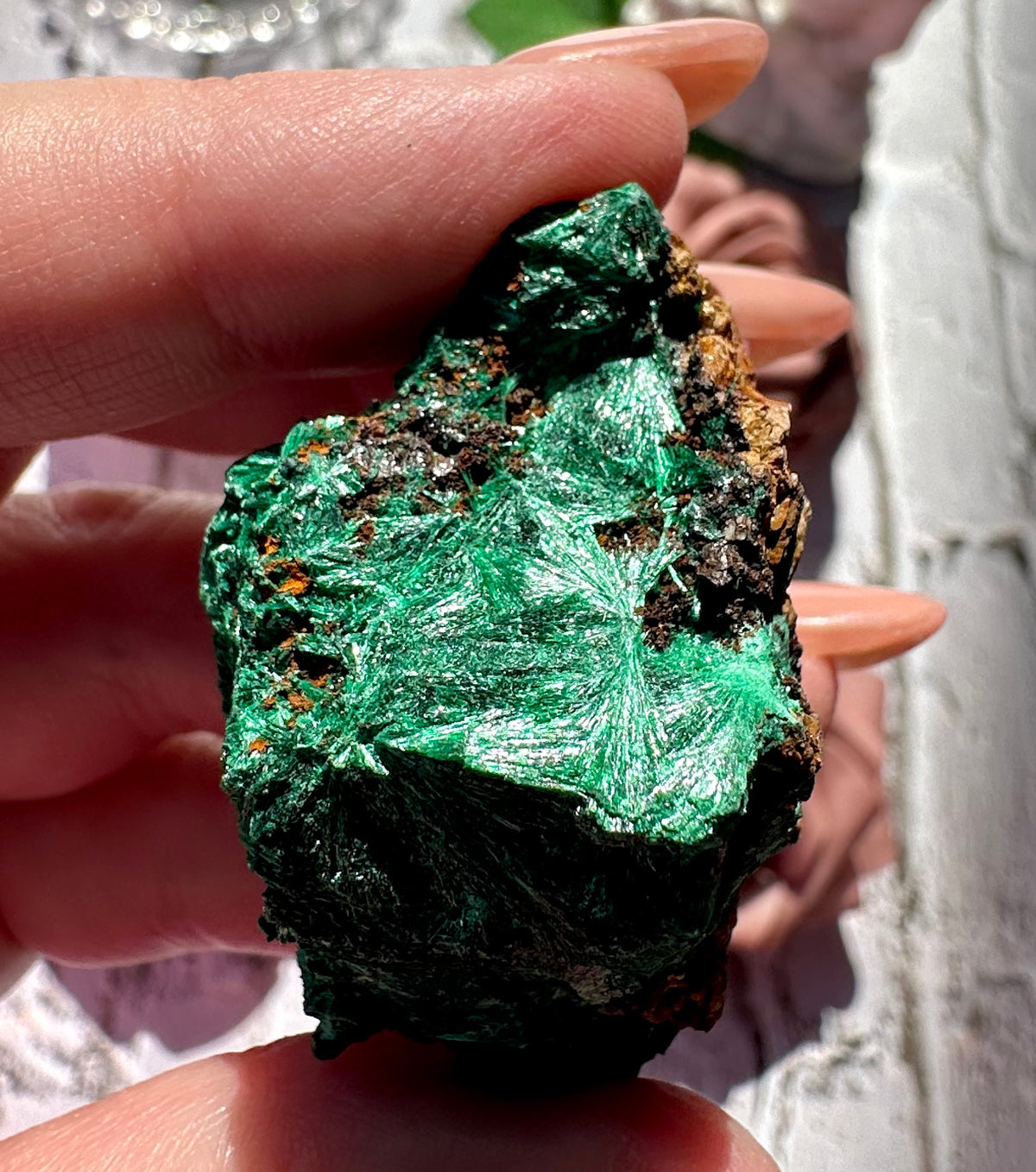 Malachite fibrosa