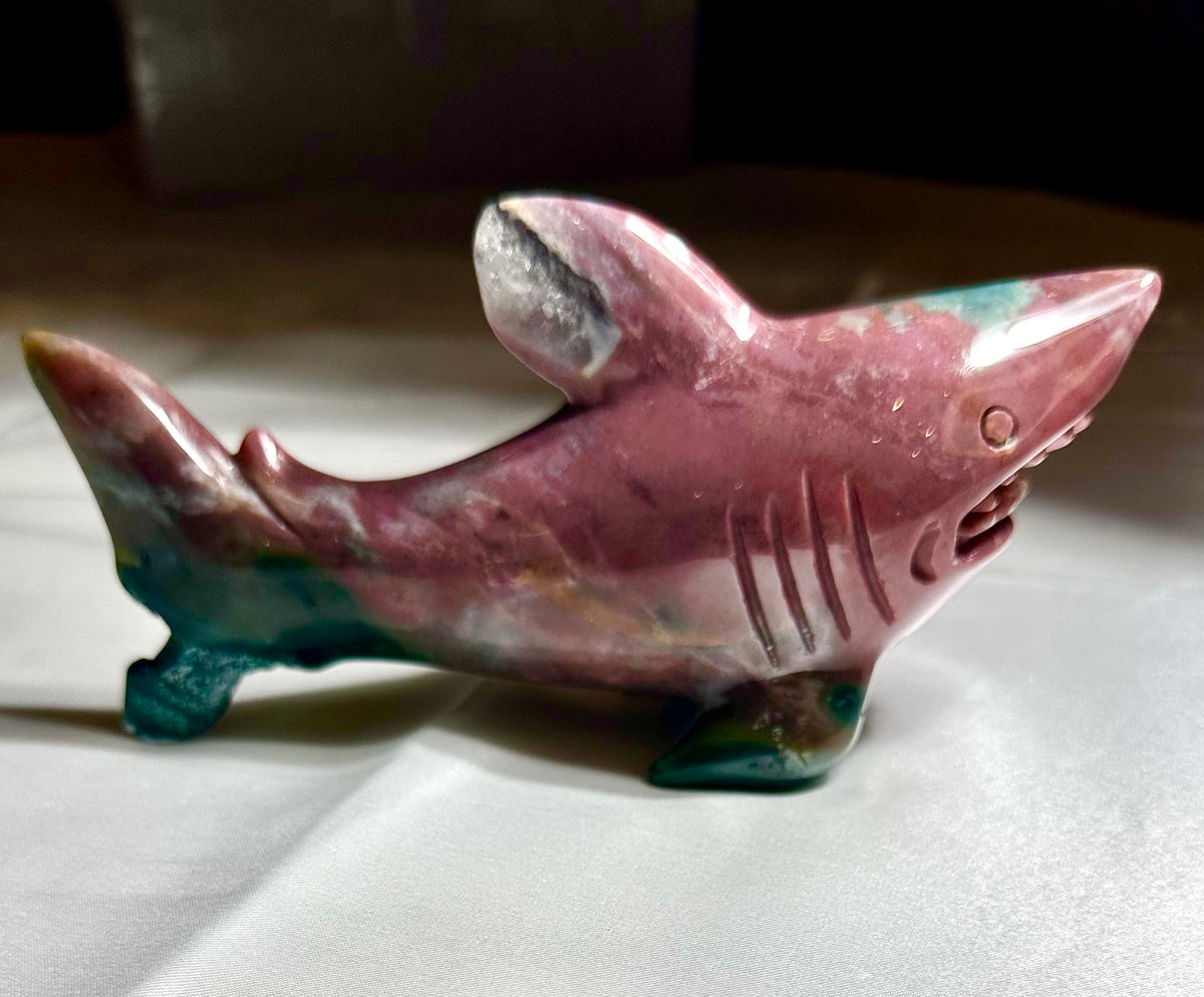 Ocean jasper shark