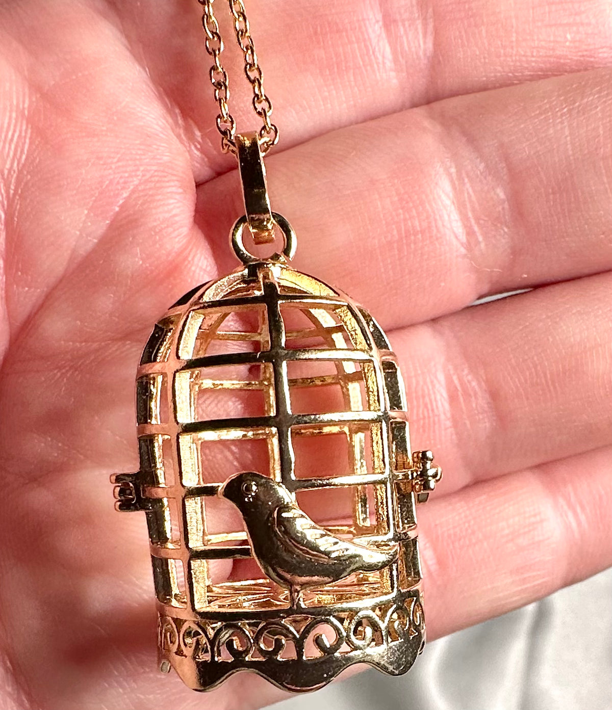 Necklace with bird cage pendant