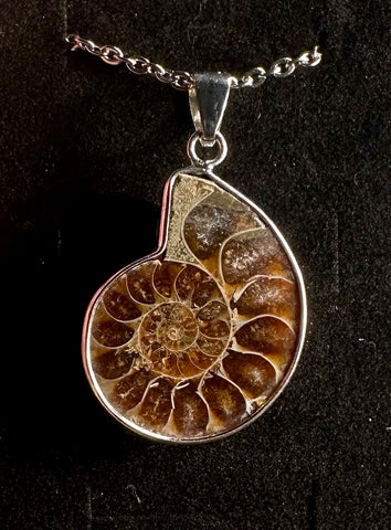 Collana con pendente in ammonite