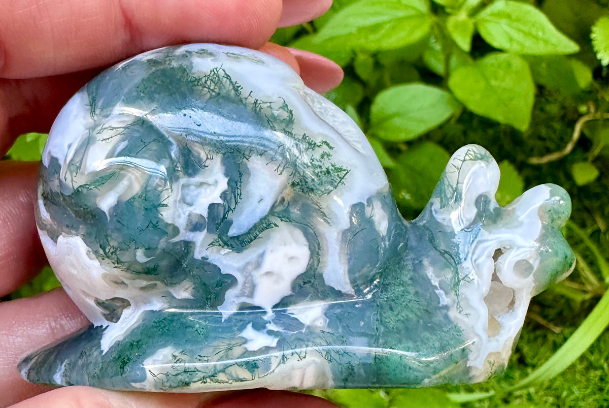 Moss agate snail