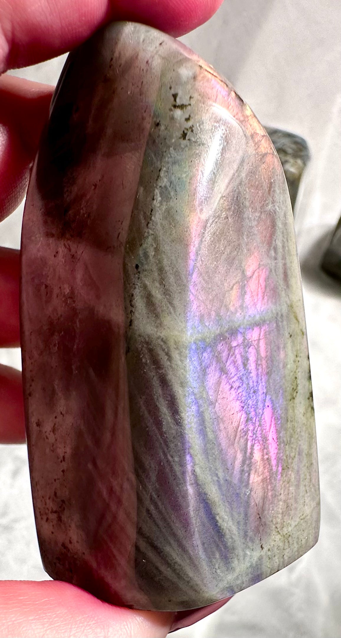 Freeform in labradorite viola