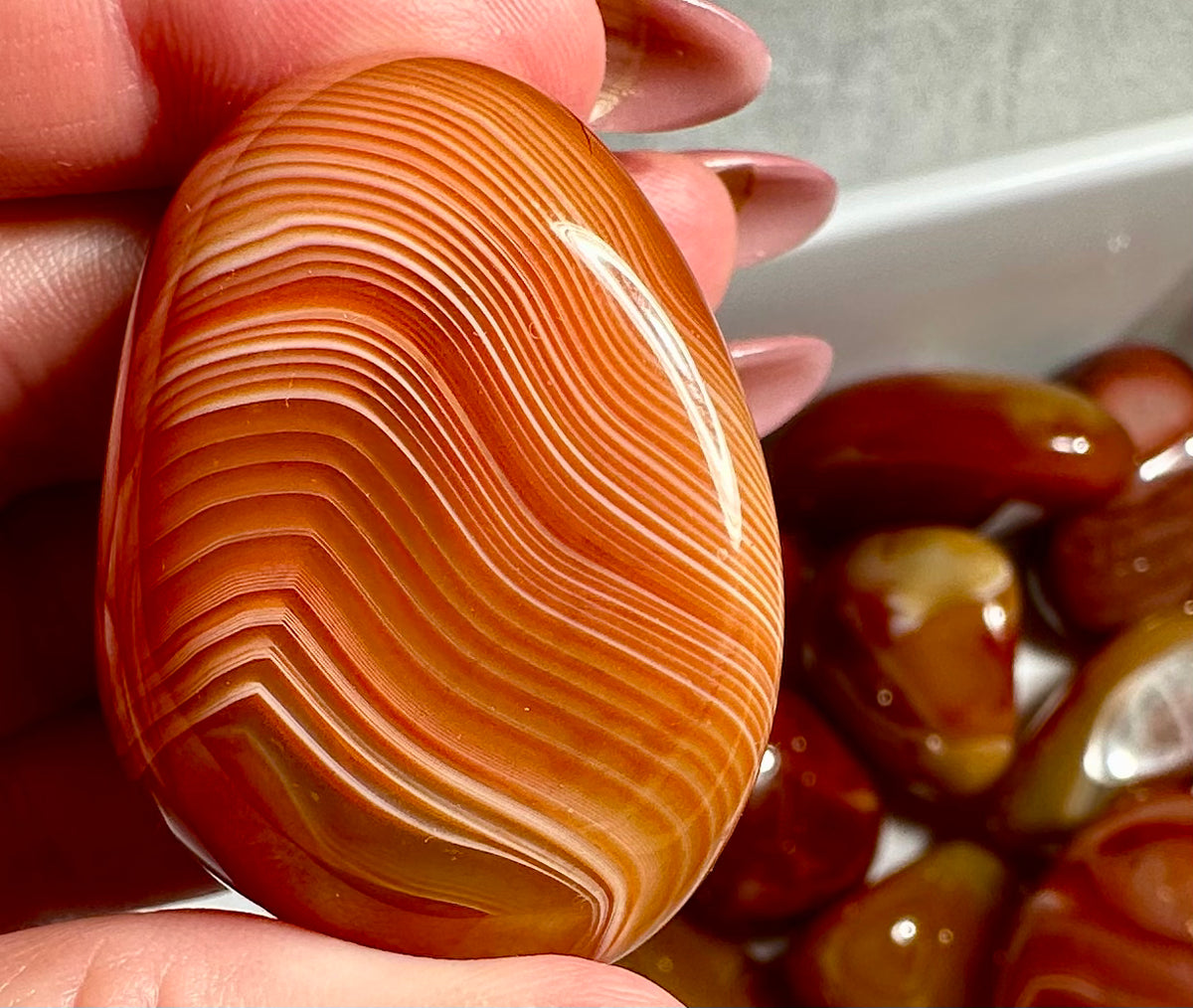 Sardonic agate palmstone