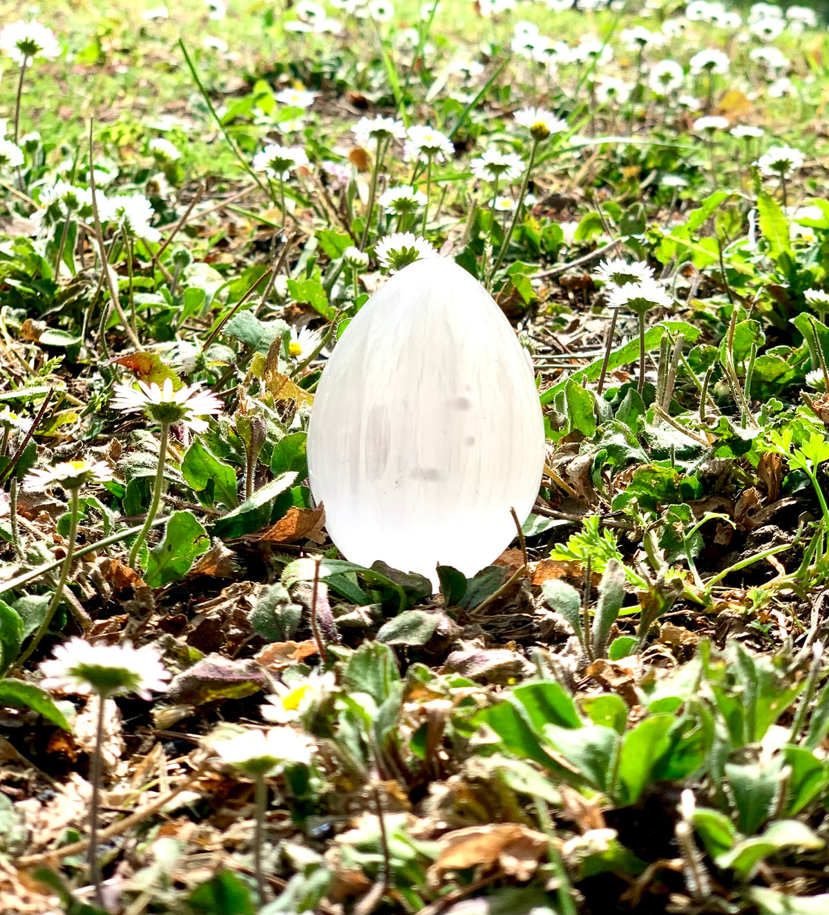 Selenite egg