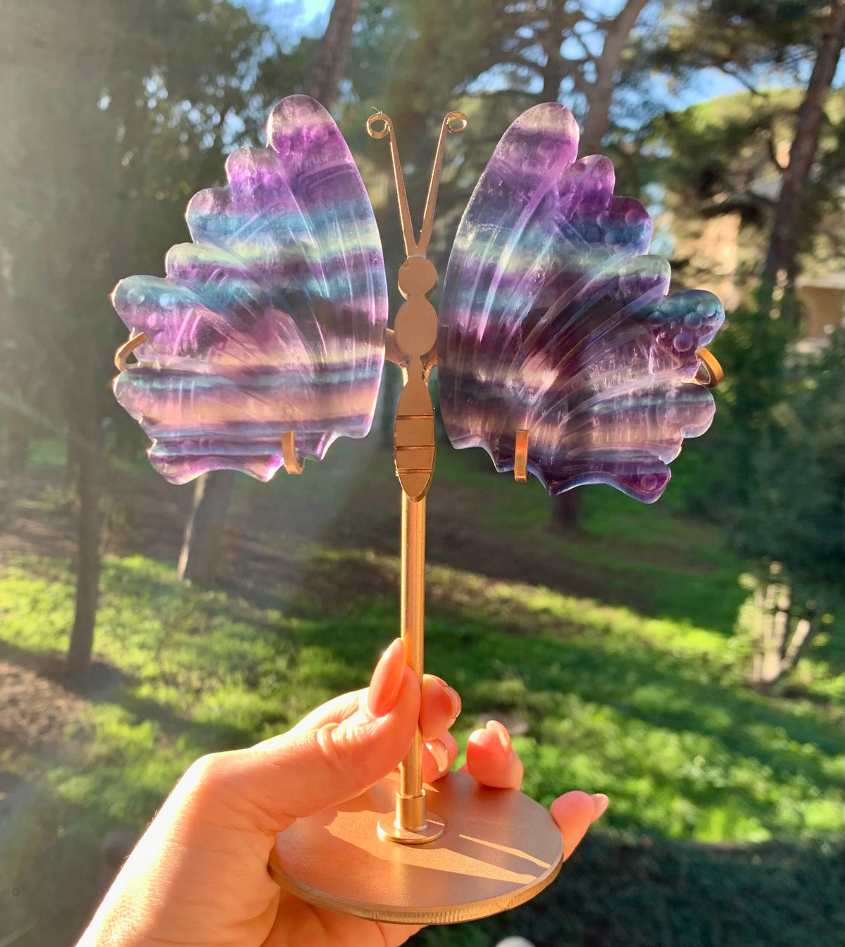 Butterfly with fluorite wings